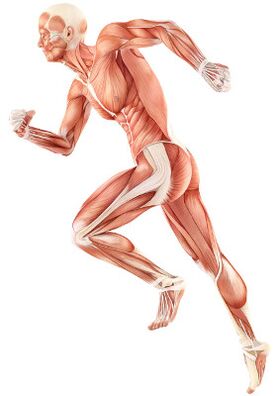 Violación de la depreciación neuromuscular